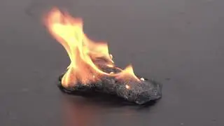 Hot Wheels Animal Rescue Car on Fire!