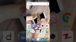 All Network code