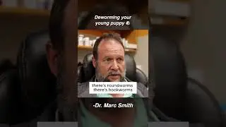 Puppy Parasites: Fecal Tests & Deworming Tips with Marc Smith, DVM, MS