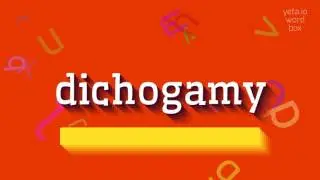 How to say 