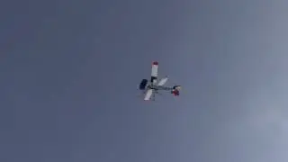 RC ORNITHOPTER 