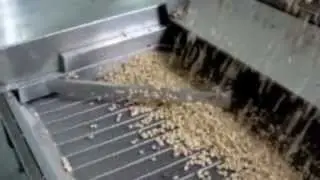 Automatic line for frying peanuts deep fryer tunnel - ABAR