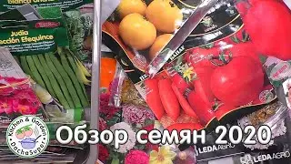 Обзор семян 2020