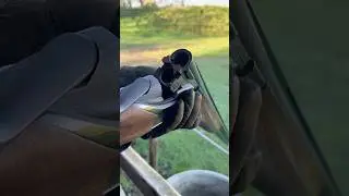 The Secret to the Beretta SL2: Steelium Pro X