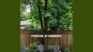 Forever in Harmony