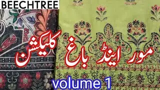 Beechtree volume 1 More and Bagh March 4, 2023