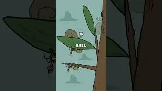 The Terror of Ants - The Zombie Ants #knowledge #Explore