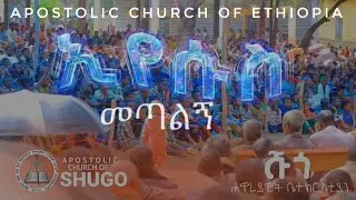 Apostolic church of Ethiopia #shugo conference# ድንቅ አምልኮ በሹጎ ኮንፈረንስ #Eyesus metalign