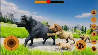 Wild Lion Attack Survival Simulator - Lion Family Animal Hunting Game - Android Gameplay