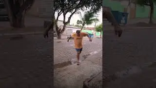 Um gato no carro