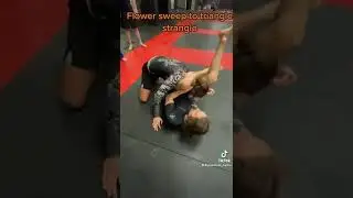 Flower 🌸 Sweep 🧹 triangle ⚠️ #bjj #martialarts #mma