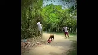😂 USA Virals funny tiktok videos 2025 #FunnyTikToks