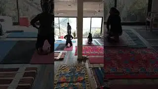 LIVE 🕉️ Yoga, Meditation, Pranayam | Instagram Contact @YogMahalStudio | Yog Mahal Studio, Patiala