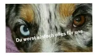 Trauriges Video 100% Weinen wahre Geschichte 😔❤