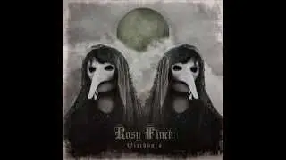 Rosy Finch - Polvo Zombi