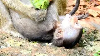 Break Heart and Hurt, Cry When See Poor Baby Lori conscious Seriously,