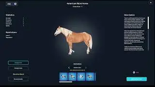 New American Paint Horse! - SSO mini showcase