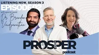 Finding Beauty At Work - Prosper Podcast (w/ Dr. Brandon Vaidyanathan)