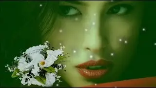 Flower with star fire works green screen effect | Wedding video  green screen effect  | Play tube