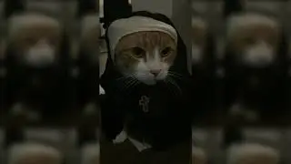 Life Of Smudgie 37: Sister Smudge Edition