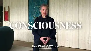 Chapter 11: Consciousness | by Nicolas Berggruen