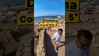 ✈️ Летим в Египет 🇪🇬 Отель Domina Coral Bay 5* #travelvlog