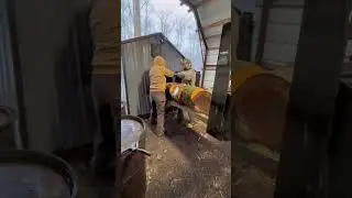 Loading the outdoor wood boiler with the excavator forks #woodboiler #kubota #firewood