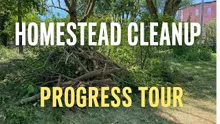 Massive Homestead Cleanup Progress Tour | Contractor Help, Overgrowth Removal & Real-Life Projects