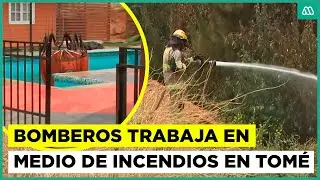 Se reactiva fuego en Tomé: helicópteros y bomberos combaten incendios en Altos de la Parra