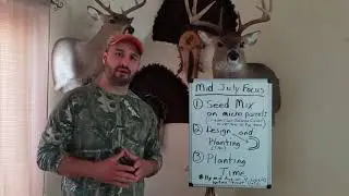 MID JULY FOCUS IN THE DEER WOODS: SELECTING A SEED MIX, DESIGNING A FOOD PLOT, AND PLANTING TIME.