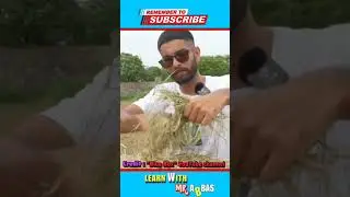White paper making with grass 😯#experiment #shorts
