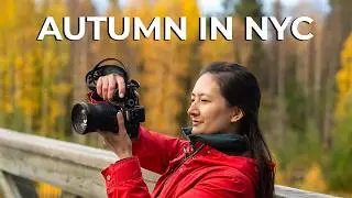 Are You Planning a Fall Trip to New York City? 