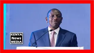 President Ruto on building a holistic ecosystem incorporating the whole value chain