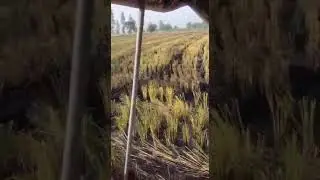 ks group malerkotla  bew super seeder