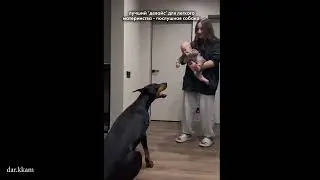 When Your Baby and Dog Have a Whole Secret Conversation 🐶