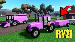 AWANSOWAŁEM NA ZBIERANIE RYŻU - Hogaty i Bartek w Roblox 