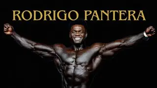 RODRIGO PANTERA MOTIVA&Ccedil;&Atilde;O RAIZ 💪🏻