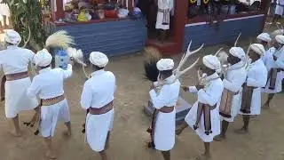 Life in Kodagu- Kombaat Part 1/3