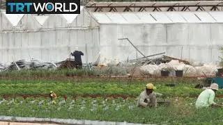 Greece Migrants: Migrant workers fighting for basic rights