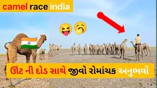ઊંટ ની દોડ સાથે જીવો રોમાંચક અનુભવોઆ | camel race india 😝 @animalskeshorts
