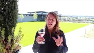 2015 Ponzi Pinot Noir Ros&eacute;