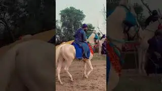 #gatkalovers #panth_akali_gatka_akharra #vlog #gatka