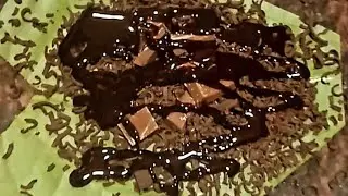 🌈Chocolate beeda #shorts |Althaf Foodie|