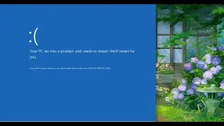 Windows Client Server Runtime Process BSOD bug on Windows XP TaskManager