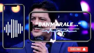 Banmarale banai khayo.. udit naran jha || depaa jha || greenever slow reverb song Himal Thapa Sreesh