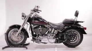 Sissybar Fast Rider S f&uuml;r Harley Davidson inkl. Edelstahl Gep&auml;cktr&auml;ger | Craftride