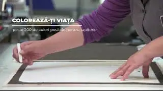 Fabrica Traffic Chairs din Cluj-Napoca