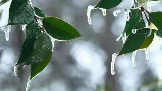 Nurturing - Piano Improvisations