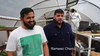 Aquaponics & Bees at Graceworks, Leicestershire