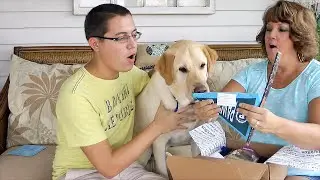 Unboxing: BarkBox for September 2014